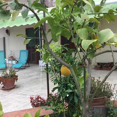 Oplontis' Garden - Holiday Apartment Near Pompeii Torre Annunziata Eksteriør bilde